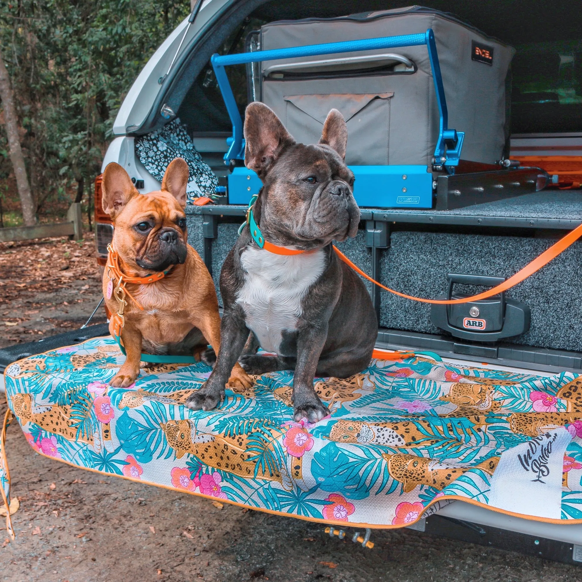 Leopard Luxe Pet Travel Towel