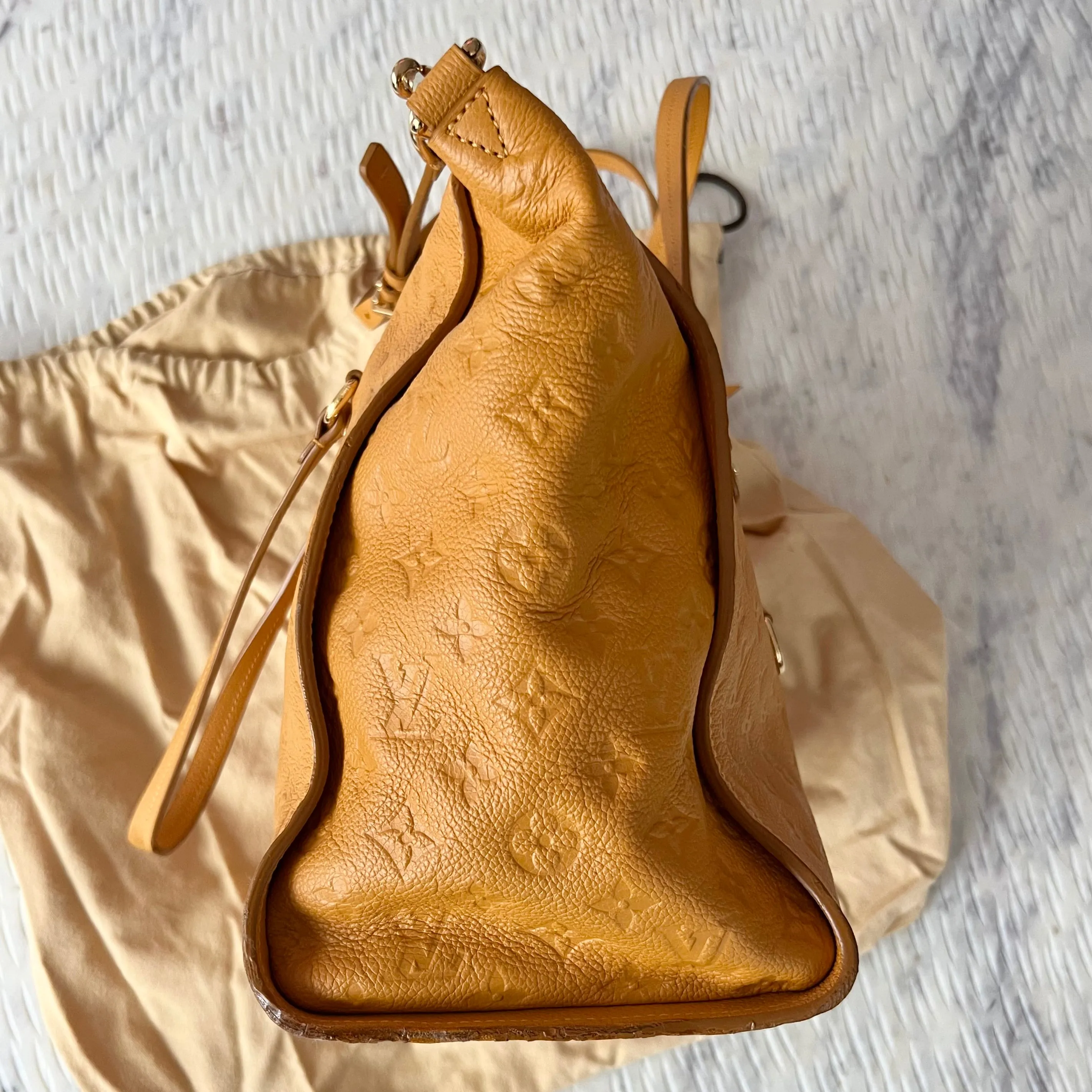 Louis Vuitton Lumineuse Bag