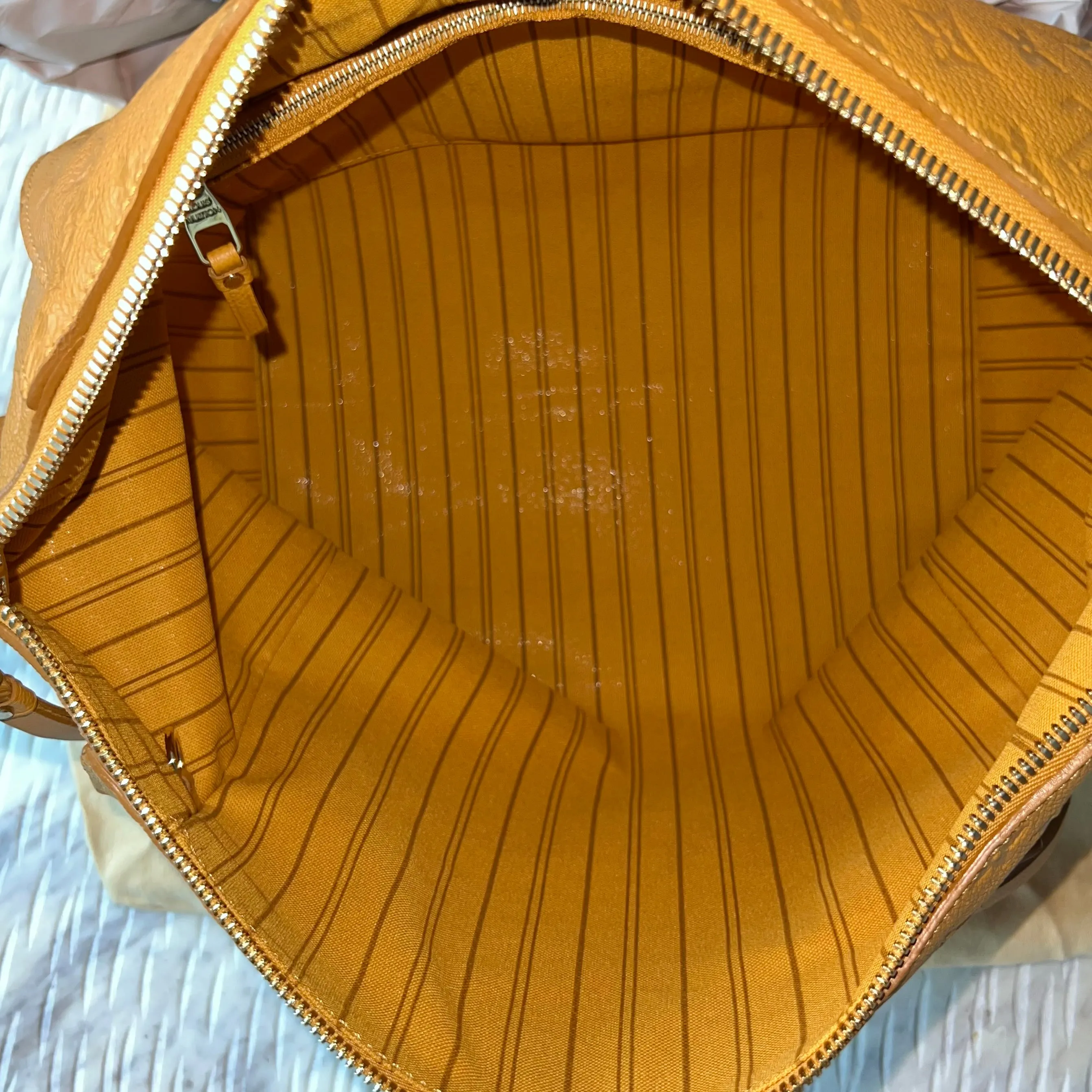 Louis Vuitton Lumineuse Bag