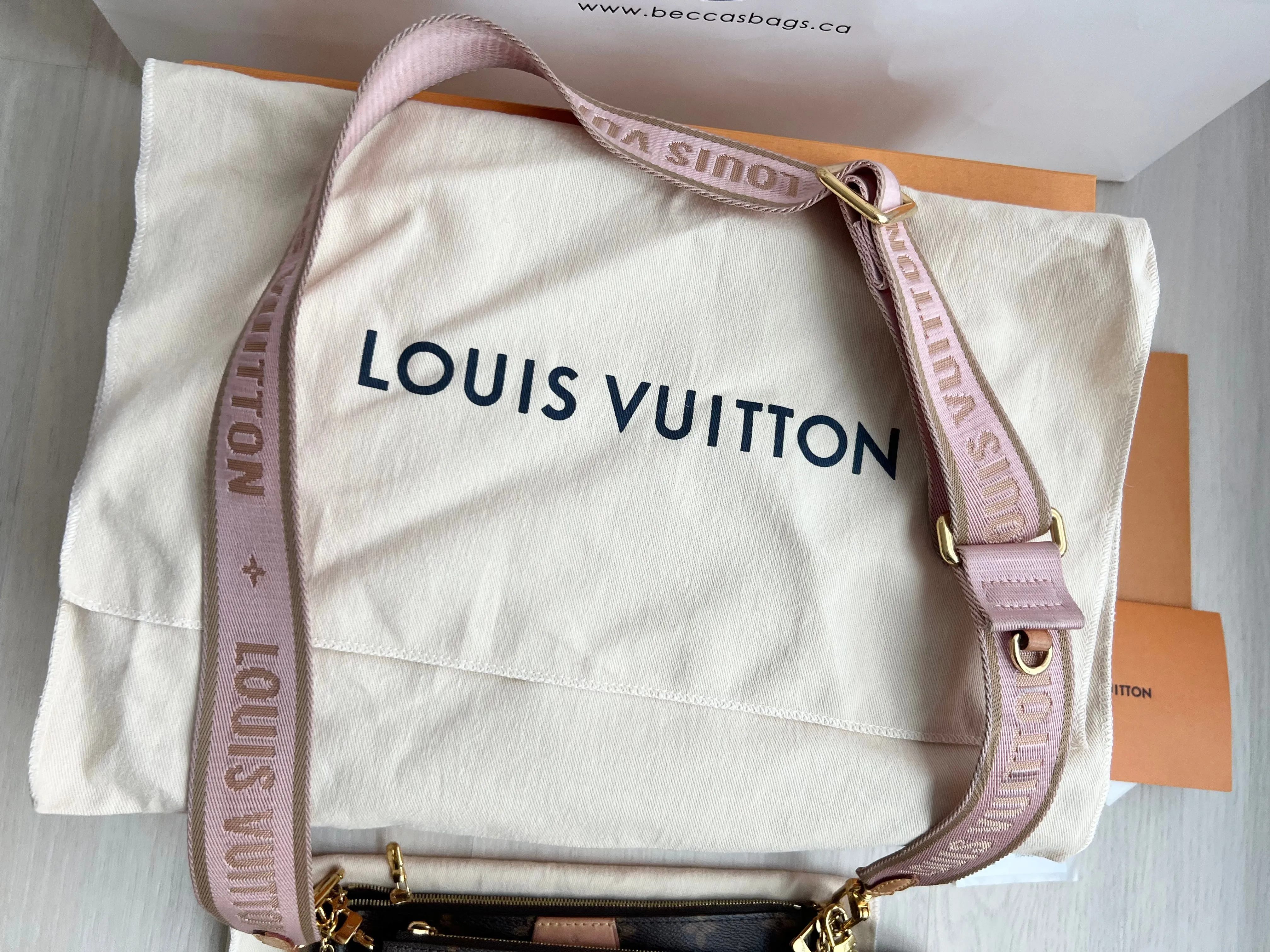 Louis Vuitton Multi Pochette Accessories Bag