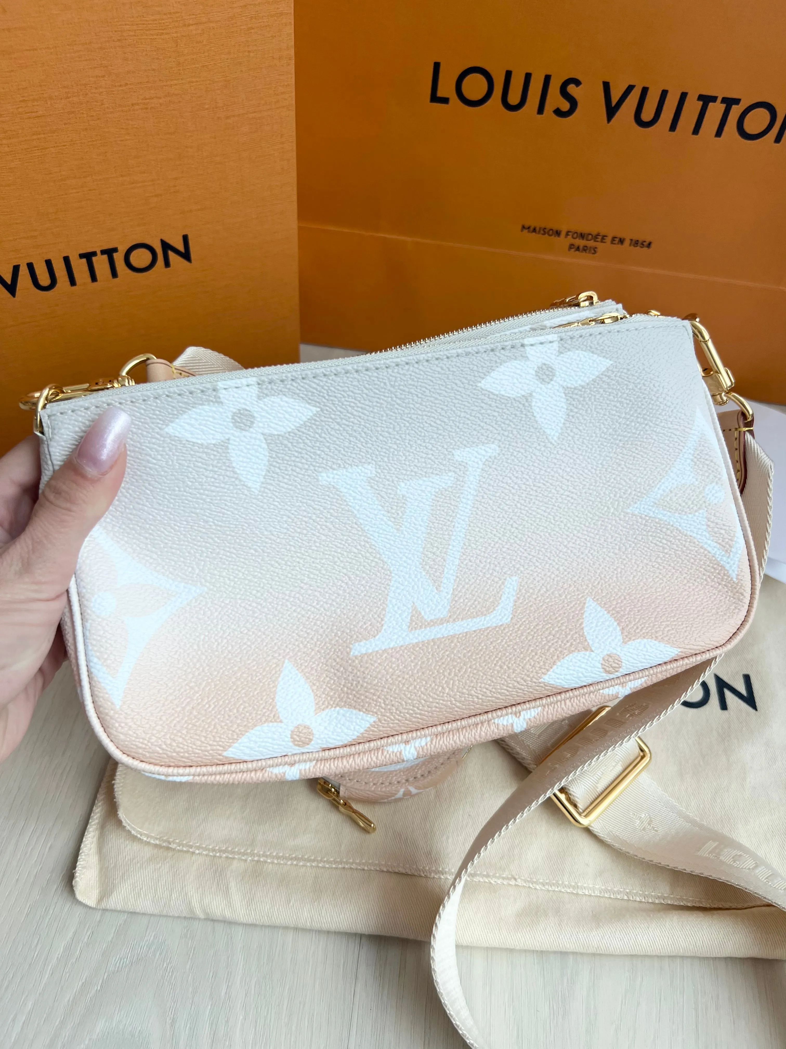 Louis Vuitton Multi Pochette Accessories Bag