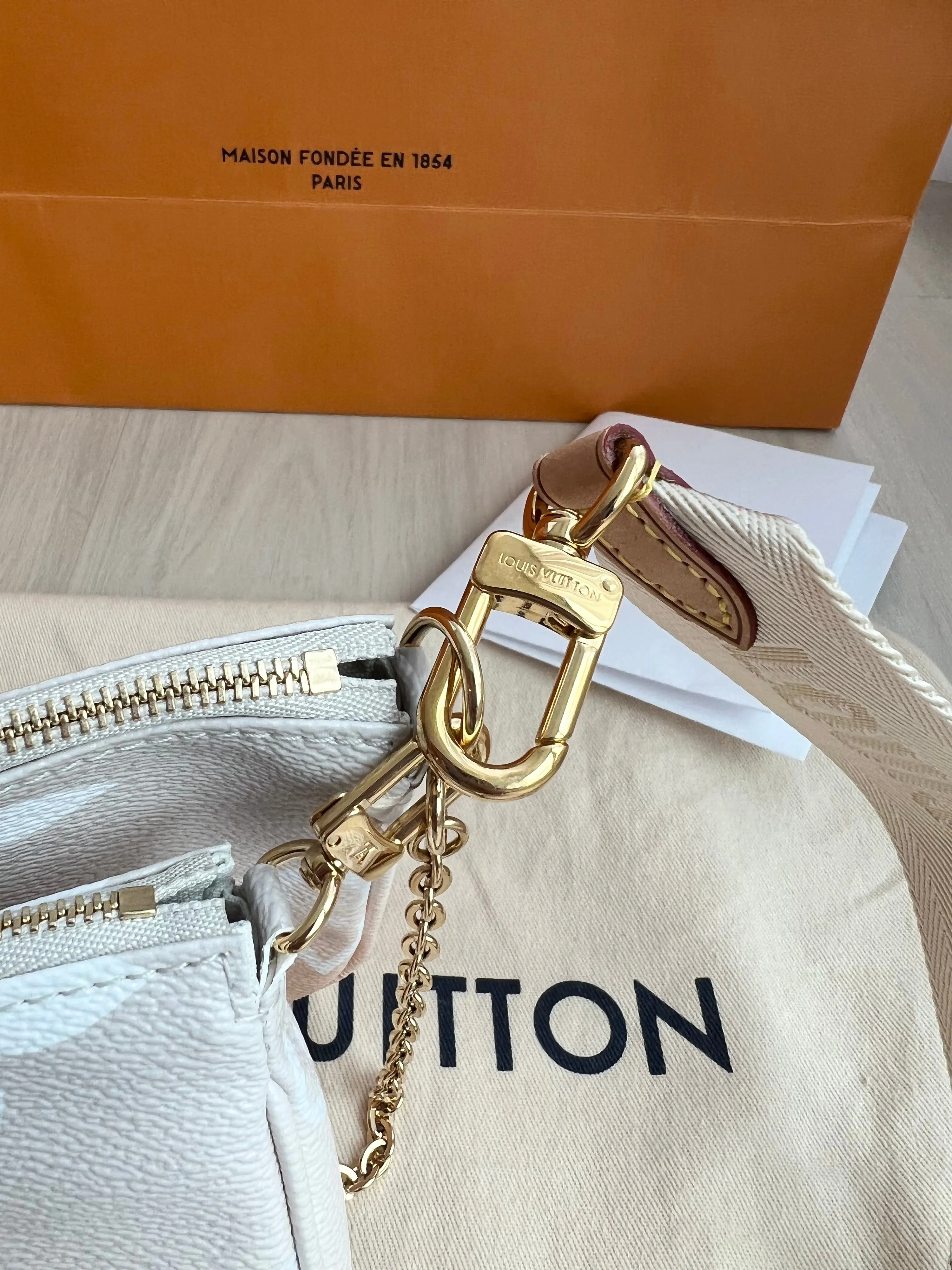 Louis Vuitton Multi Pochette Accessories Bag