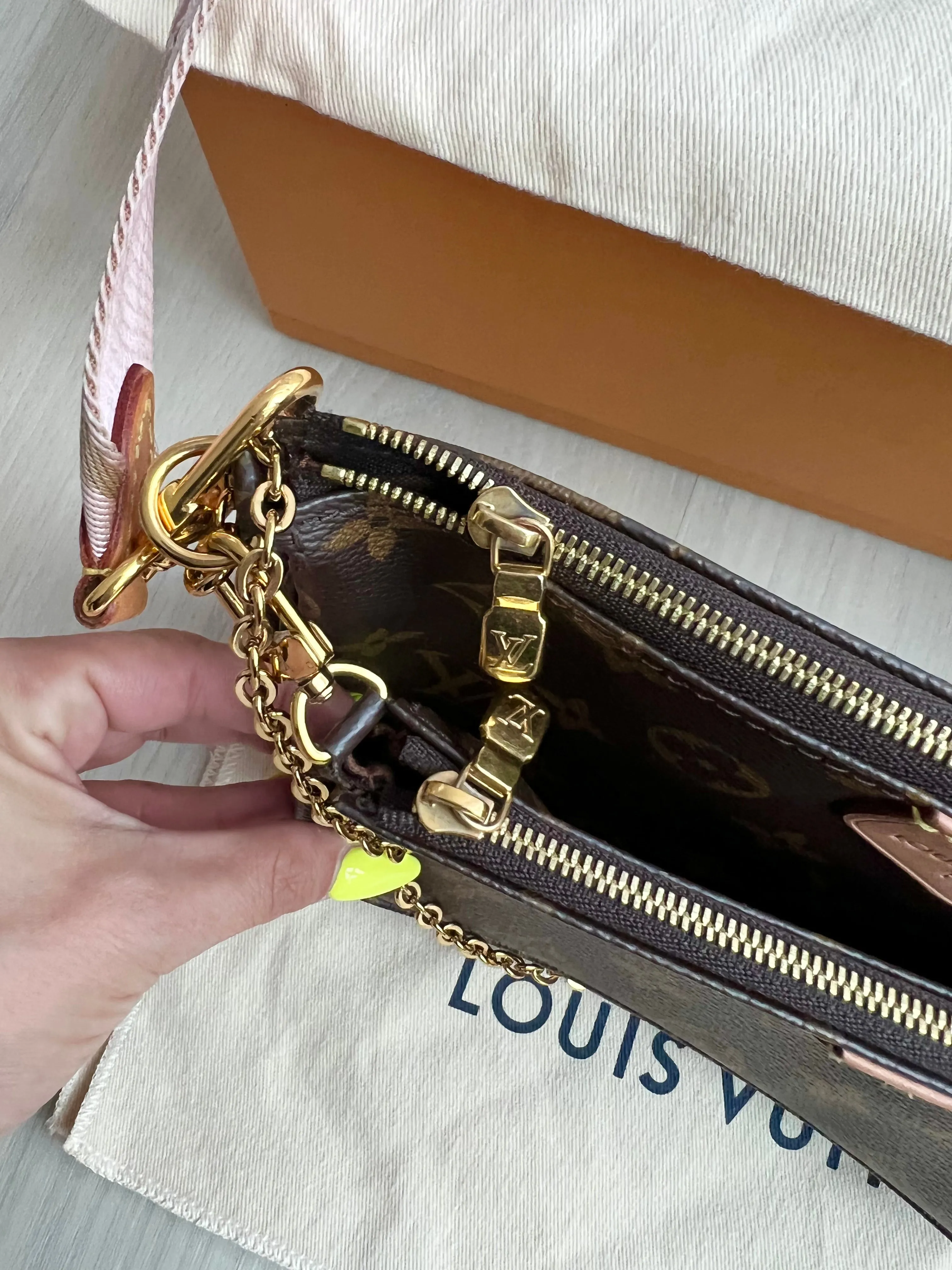 Louis Vuitton Multi Pochette Accessories Bag