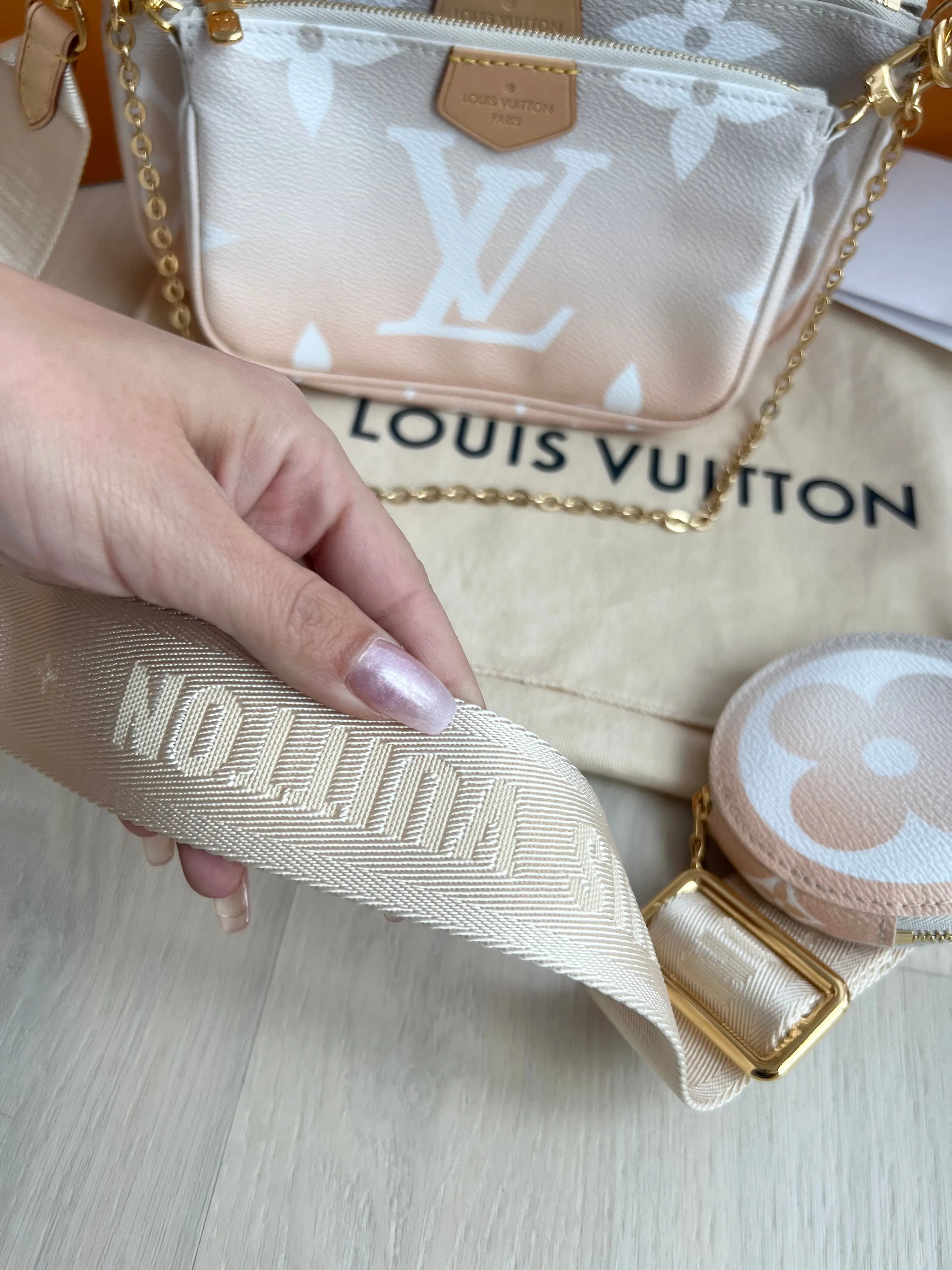 Louis Vuitton Multi Pochette Accessories Bag