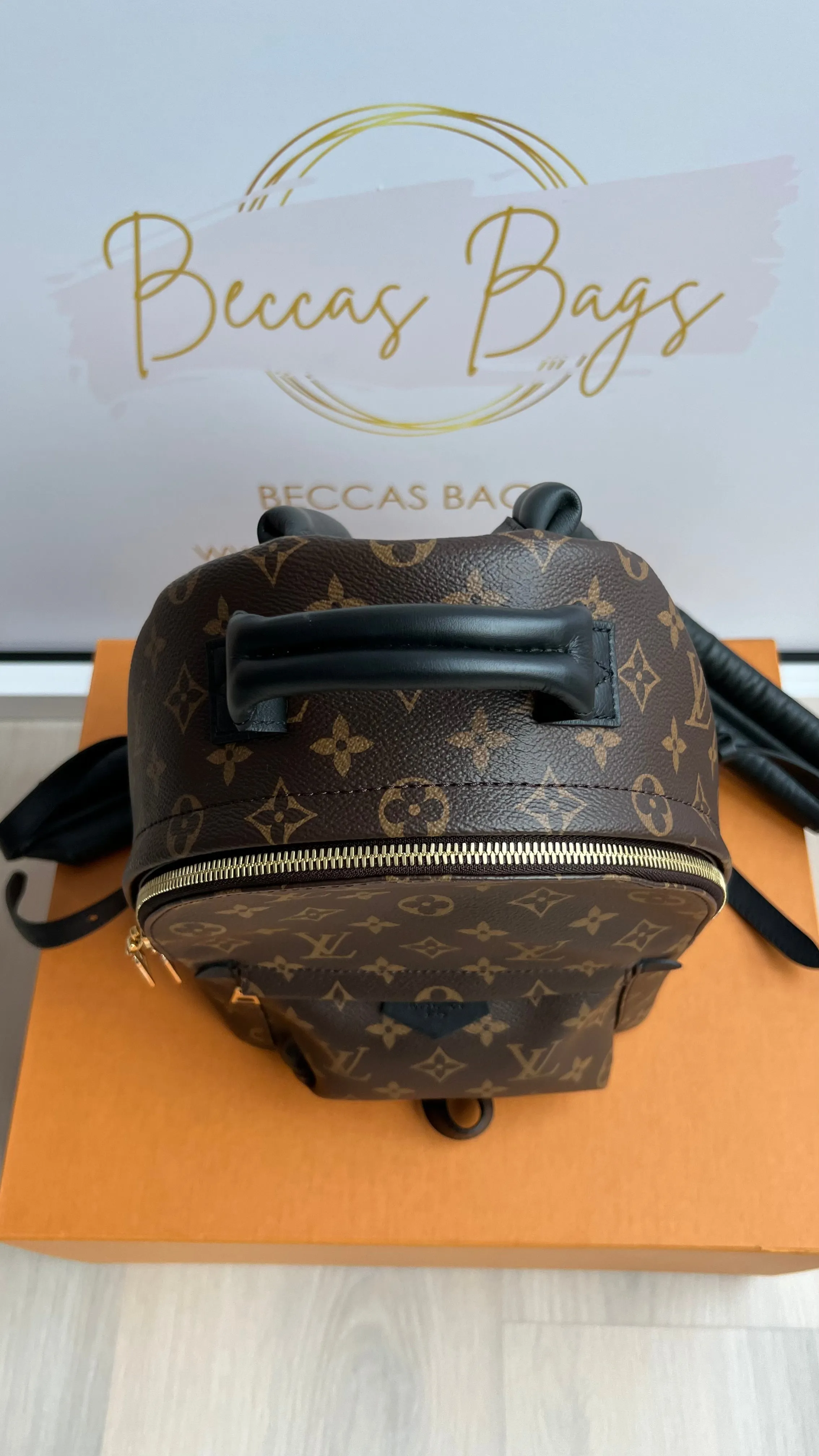 Louis Vuitton Palm Springs Bag