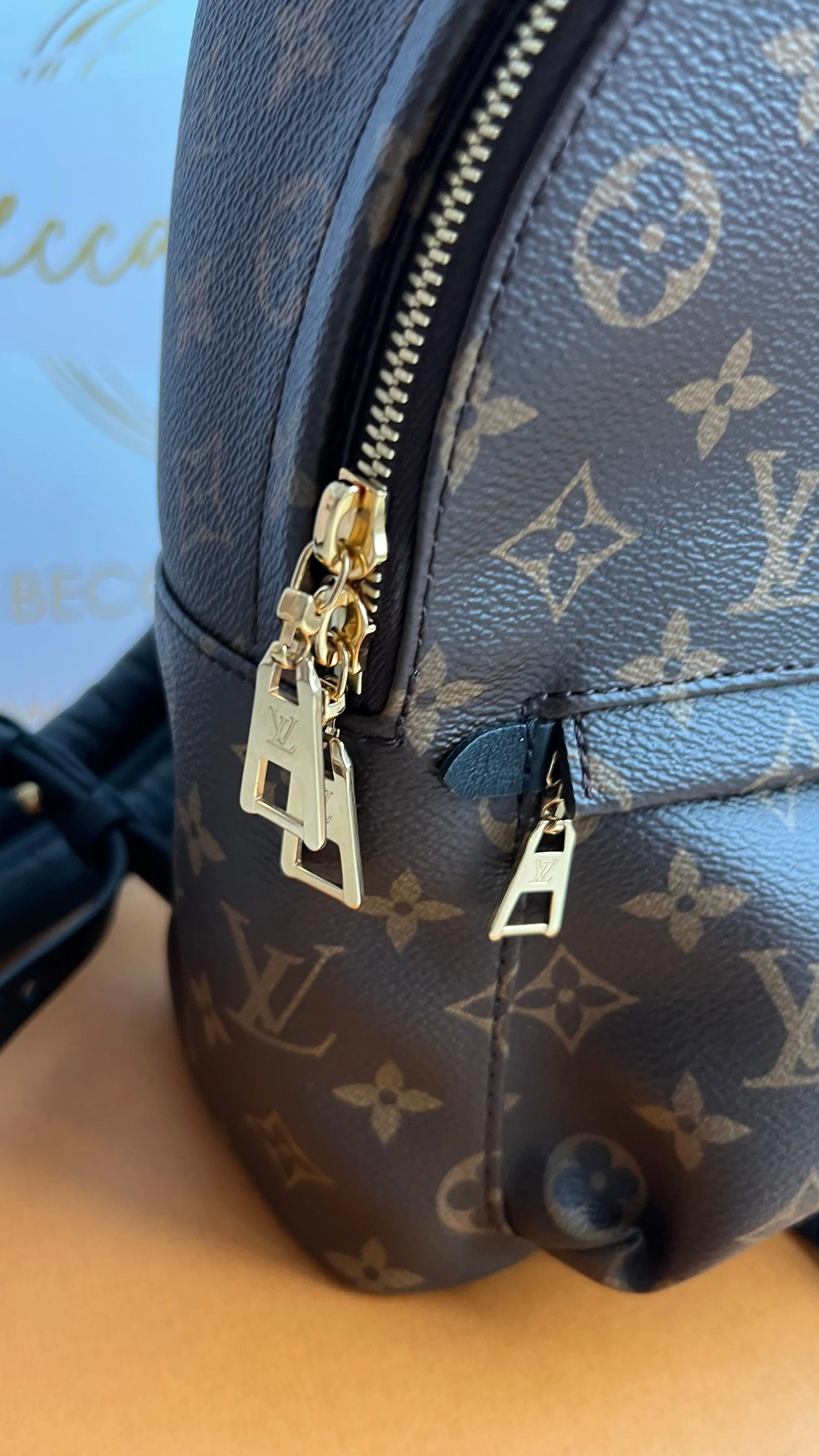 Louis Vuitton Palm Springs Bag