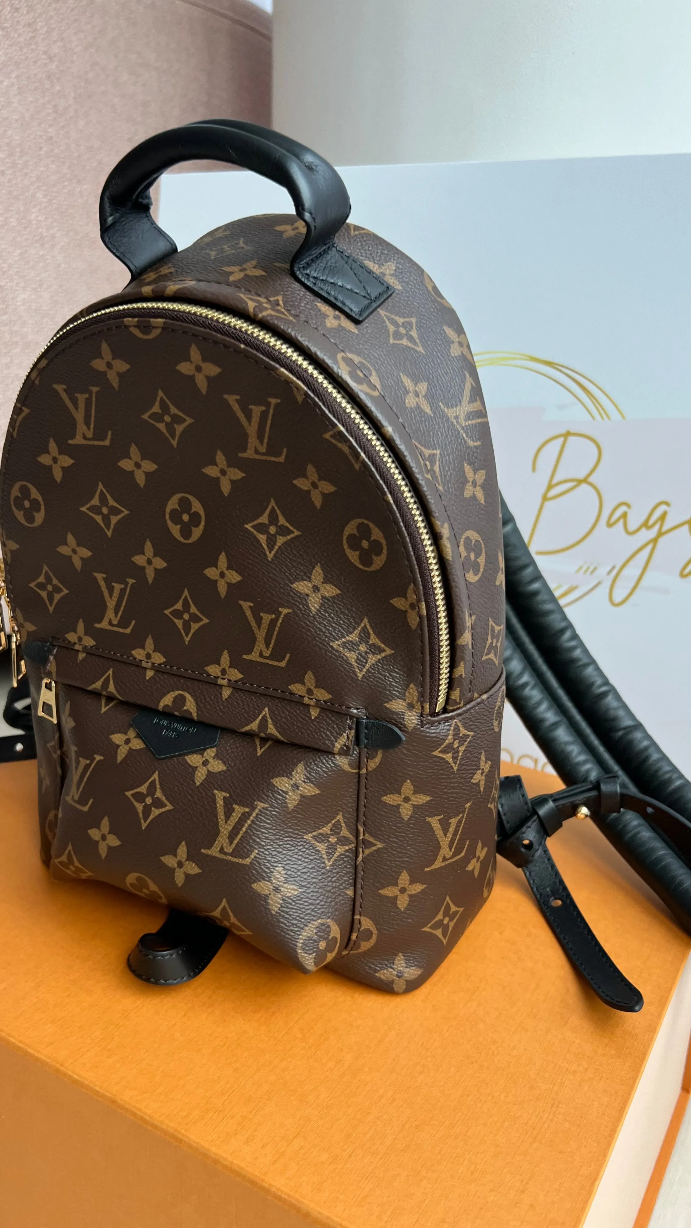 Louis Vuitton Palm Springs Bag