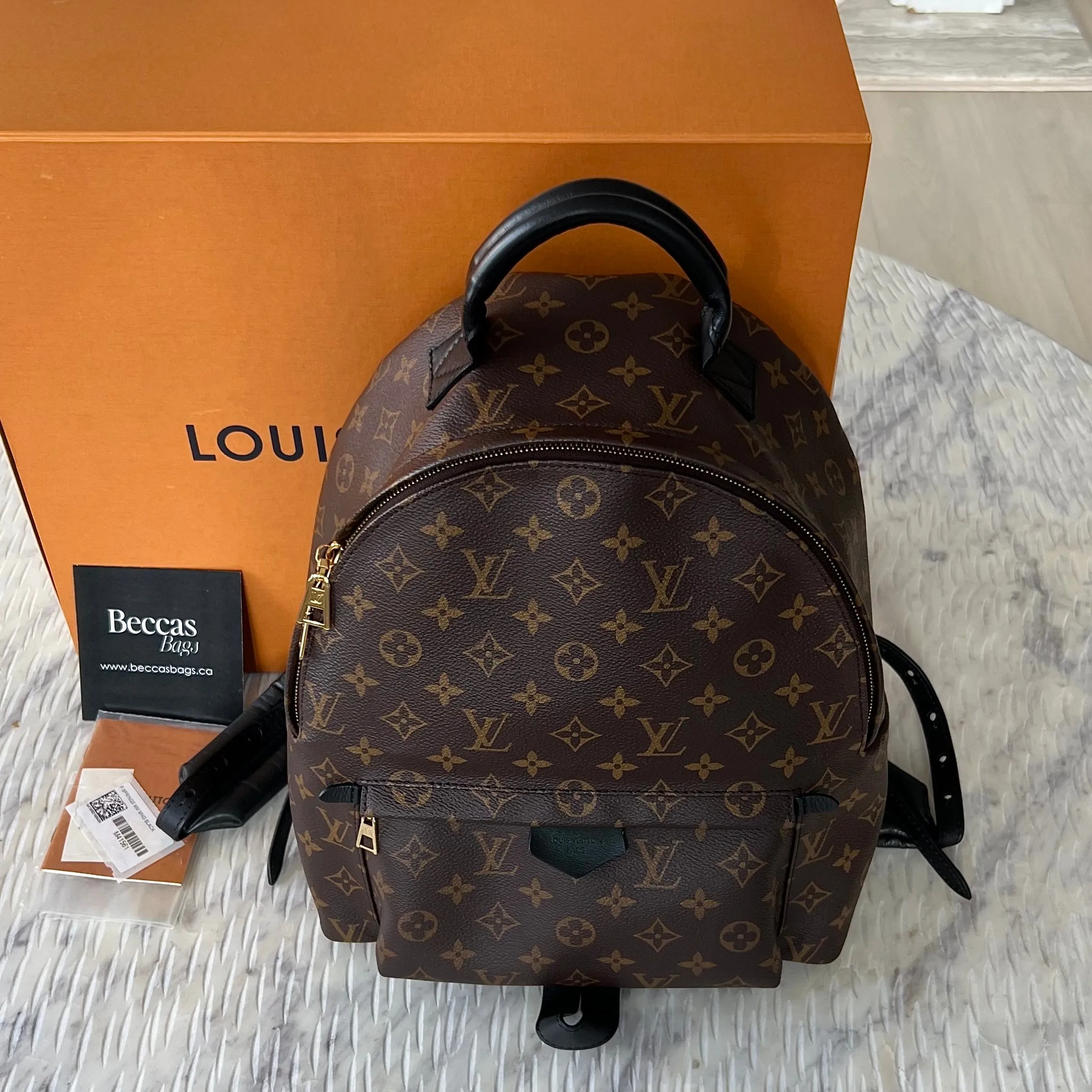 Louis Vuitton Palm Springs MM Bag