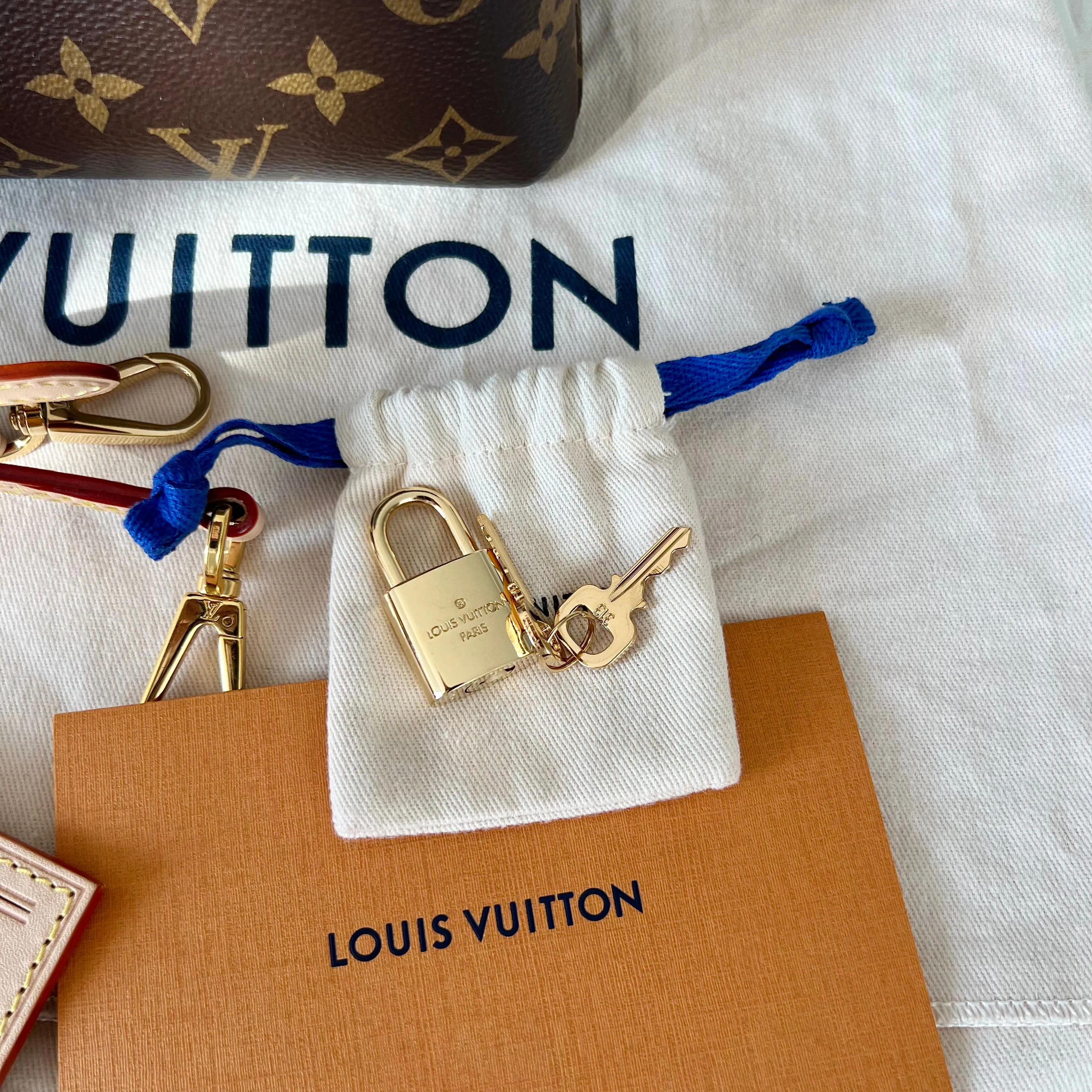 Louis Vuitton Petit Palais Bag