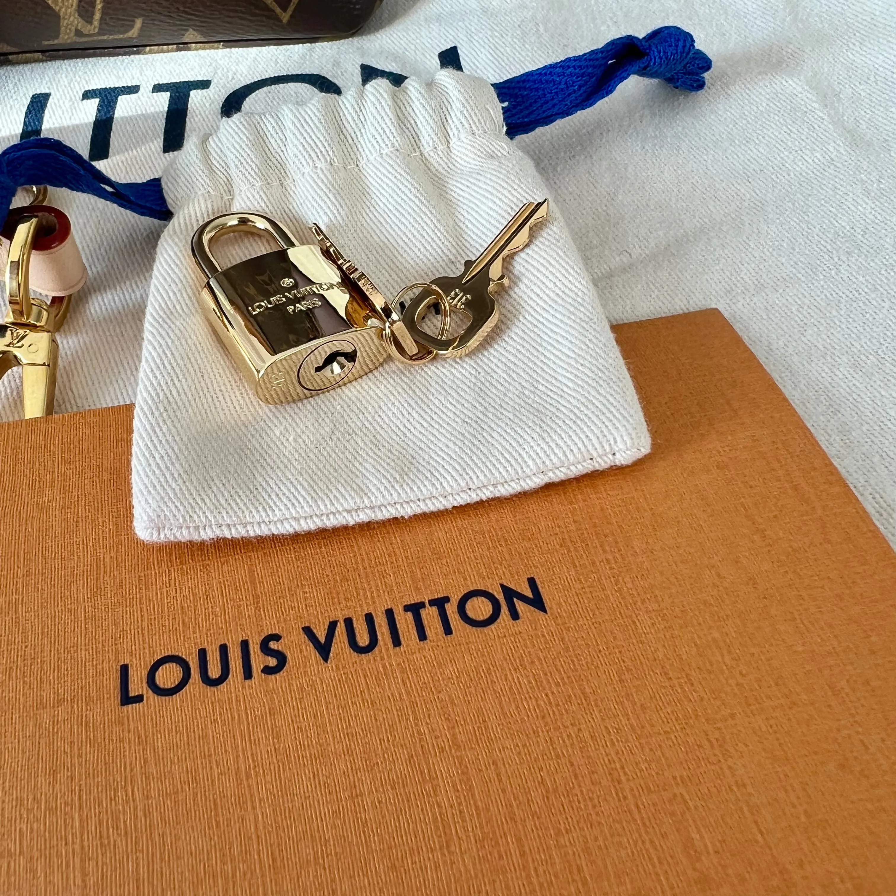 Louis Vuitton Petit Palais Bag