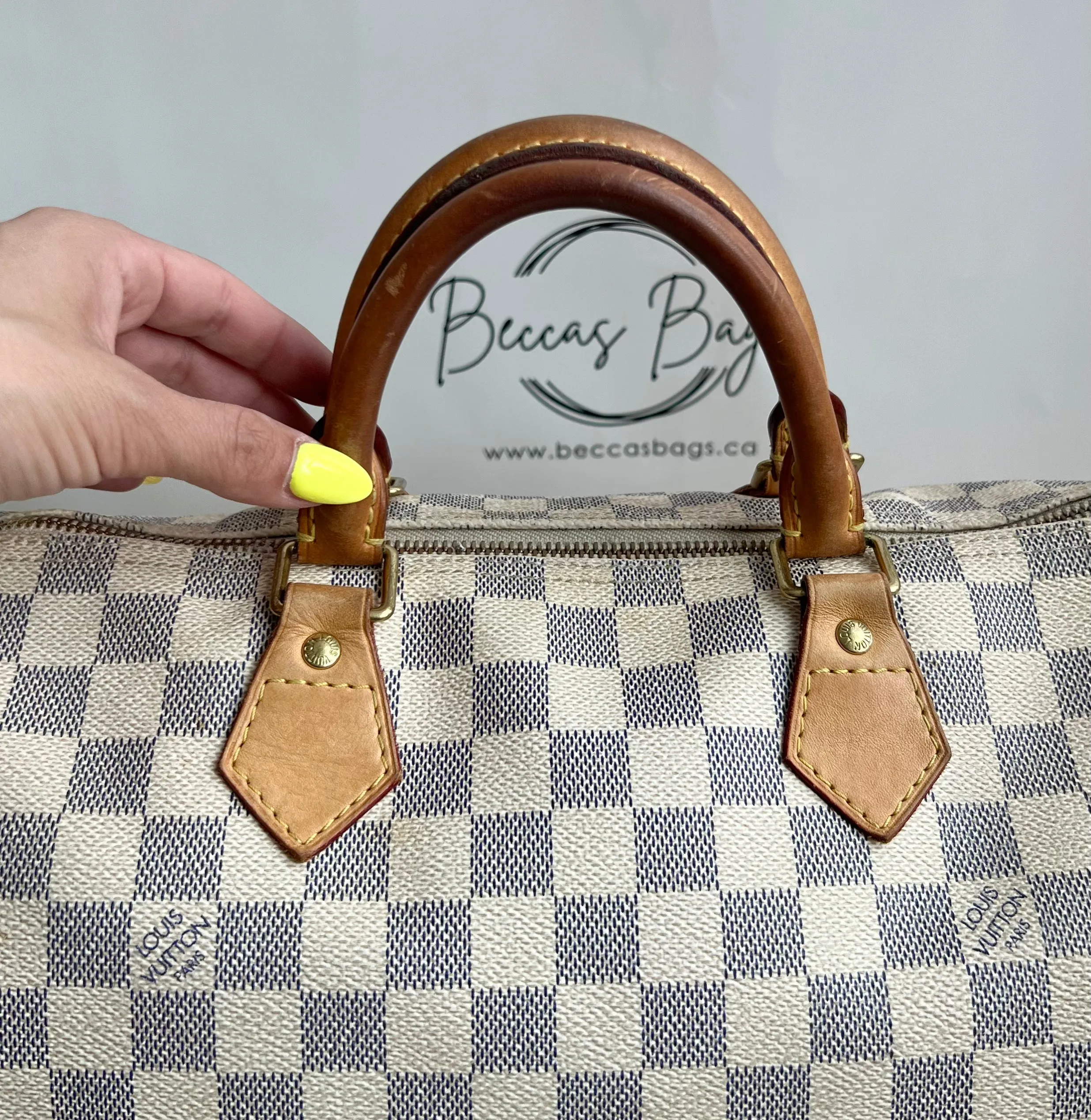 Louis Vuitton Speedy Bag