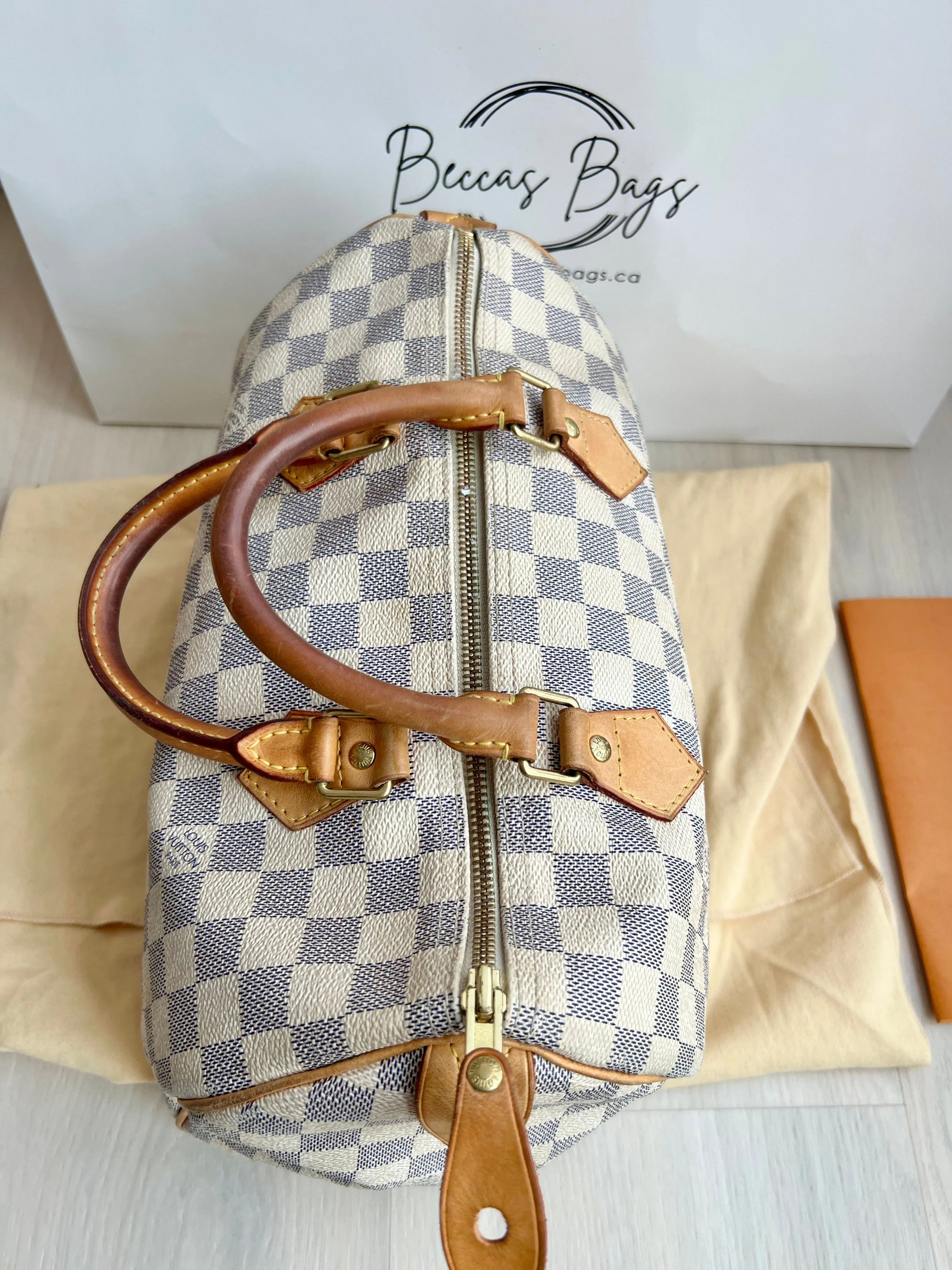 Louis Vuitton Speedy Bag