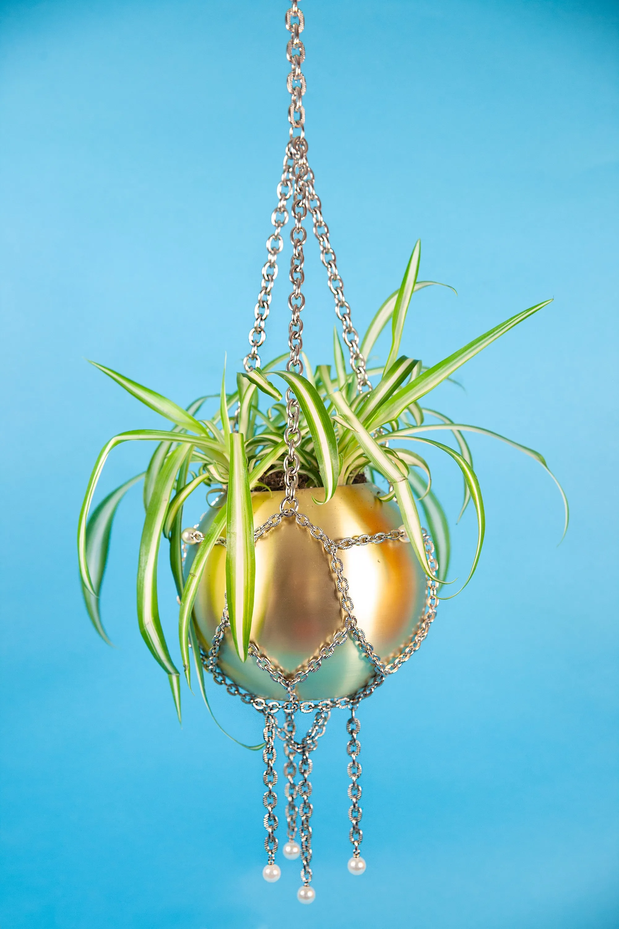 Pearl Chain Planter